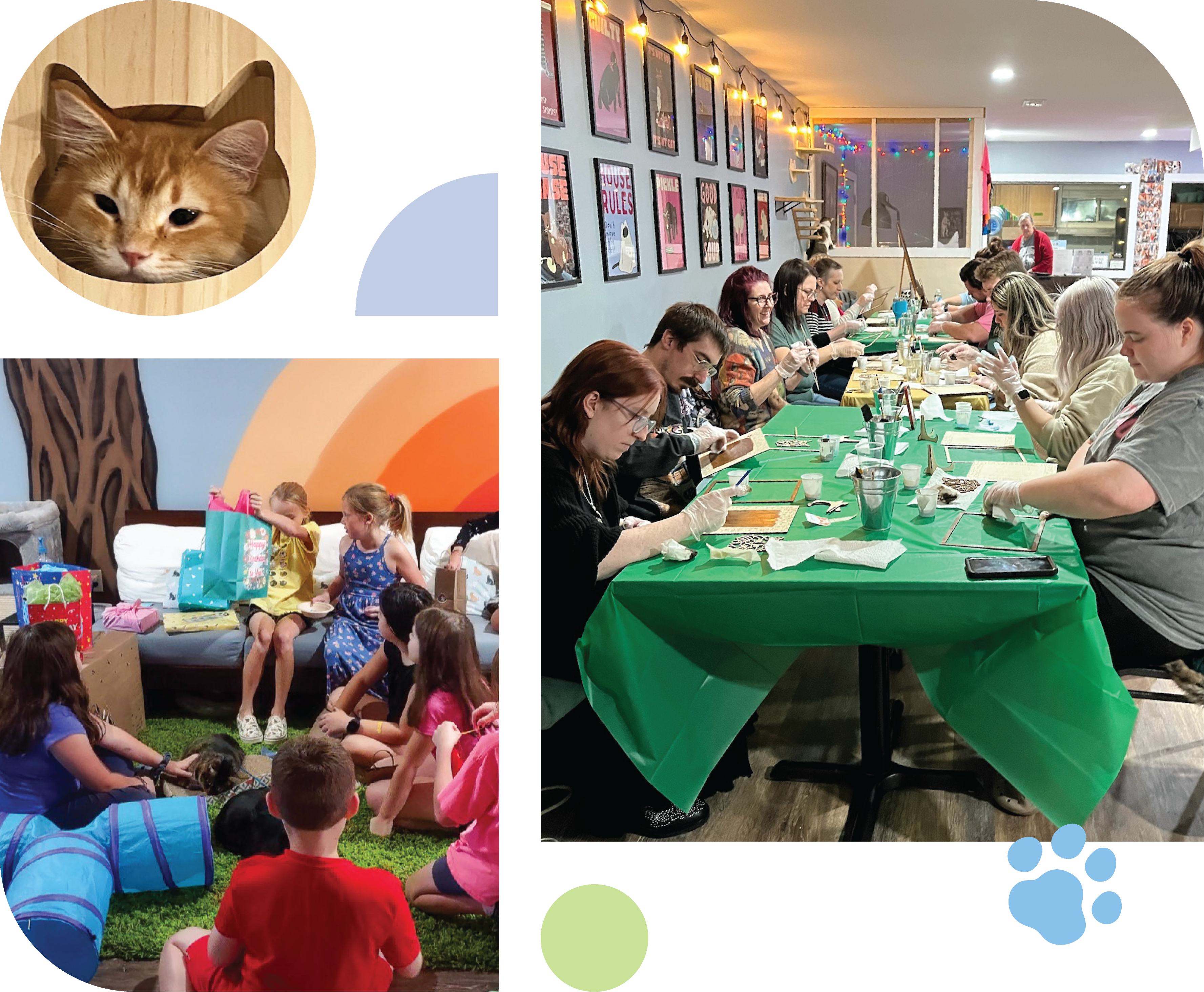 Kitty Crib Event Image