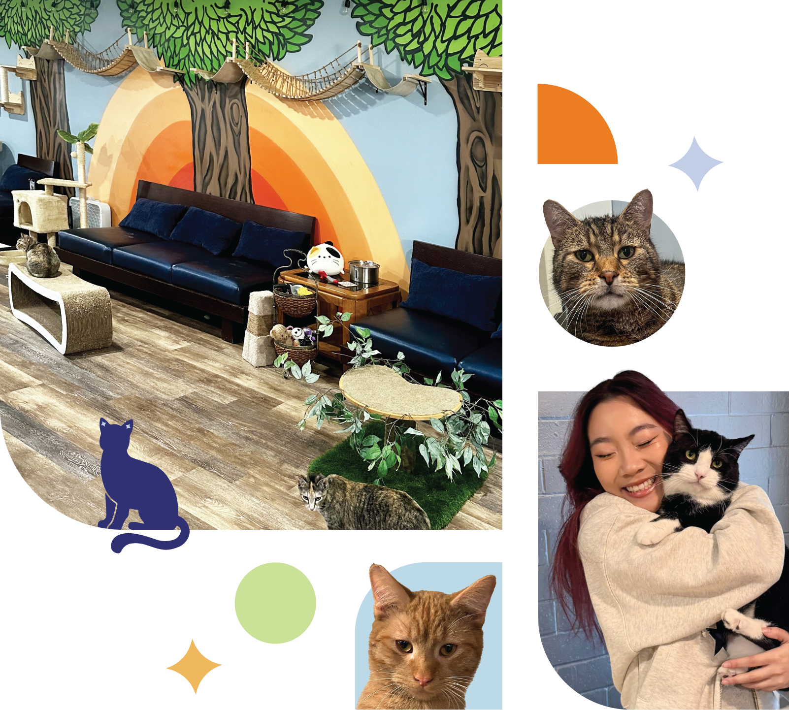 Kitty Crib Hero Image